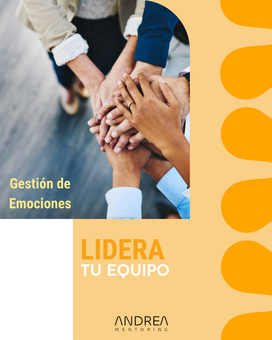 TALLER – Gestión de las Emociones y Liderazgo.